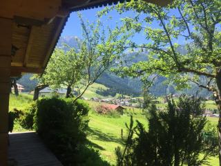 Jagdhütte - Abtenau - 1
