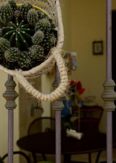 Acqua di Mare B&B - 5