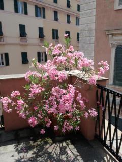 La casa del viaggiatore - Gênes - 6