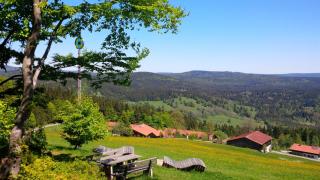 Apartman Šumava - Bavorský les - Mitterfirmiansreut - 4