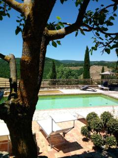 Agriturismo Selvella - Allerona - 8
