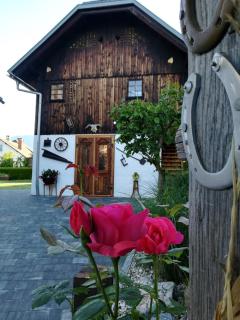 Barn House MM - Bled - 7