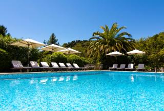 Les Vergers de Saint Paul - Saint-Paul-de-Vence - 9