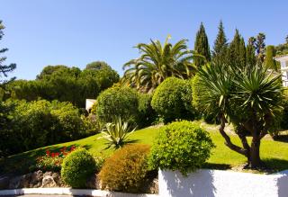 Les Vergers de Saint Paul - Saint-Paul-de-Vence - 2