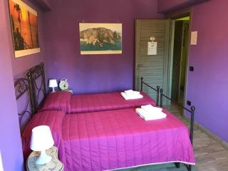 Sopra le Laure B&B - Laureana di Borrello - 5