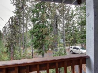 Bear Creek Cabin - 4