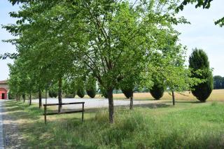 Agriturismo Cà Del Lupo - Palazzolo sullʼOglio - 6