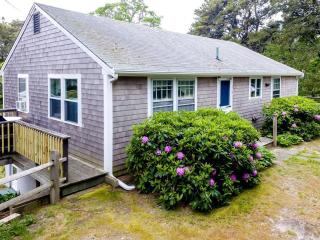 Nauset Beach Dream - 8
