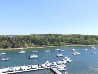 A Chatham Pearl on Oyster River - 4