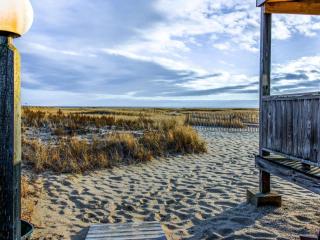 The Place to be... - Provincetown - 9