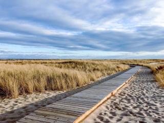 The Place to be... - Provincetown - 8