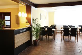 Hotel Garni Goldene Traube - 9