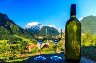 Mountain view Glamping - Dovje - 6