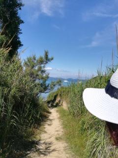 Holiday Homes Susak Sansego - Susak - 7