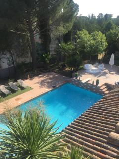 De la suite dans les oliviers - Gallargues-le-Montueux - 1