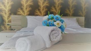 Albatros Private Studio - 5