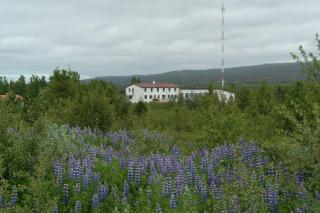 Eidavellir Apartments and Rooms - Egilsstadir - 4