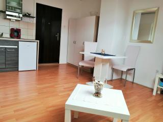 Mia Airport studio apartment - 0-24h Self check in&out - Parking on site - Velika Gorica - 9