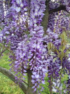 Appartement en Provence - 6