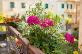 Luxury Apartment Luce - 8