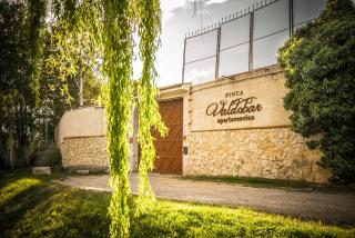 Finca Valdobar - Peñafiel - 8