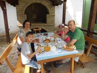 Guest House Stara Baranja - Kneževi Vinogradi - 1