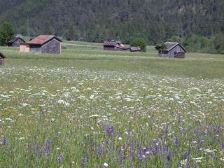 Banders Landhaus - Imst - 3