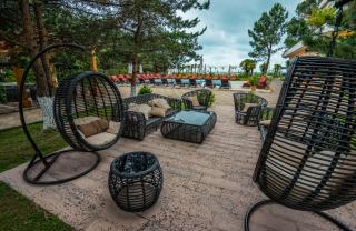 Dream Land Oasis - 5
