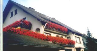Haus Hubertus - Winterberg - 7