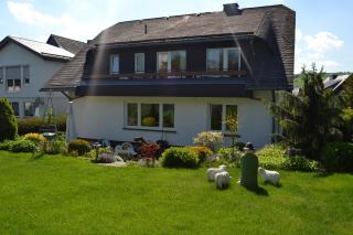 Pension Robin Hood - Willingen - 0