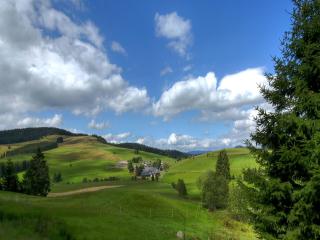 derWaldfrieden naturparkhotel - Herrenschwand - 7