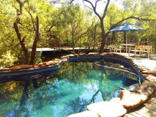 Warthogs Bush Lodge - Magaliesburg - 1
