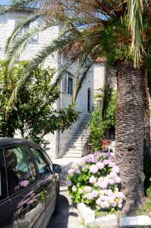 Apartments Gudco - Perast - 9