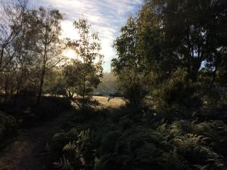 Grampians Pioneer Cottages - Halls Gap - 1
