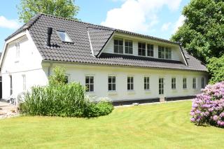 Wonderful farmhouse - Vorbasse - 0