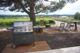 Le Petit Mas du Vigné - 3