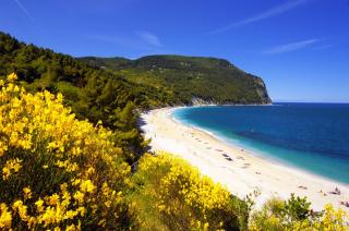 Camping Village Internazionale - Sirolo - 7