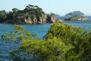 Location Corsica - Cavalaire-sur-Mer - 7