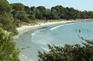 Location Corsica - Cavalaire-sur-Mer - 6