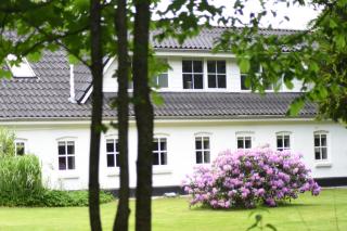 Wonderful farmhouse - Vorbasse - 9