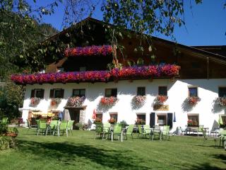 Pension Holzknechthof am See - Neustift im Stubaital - 2