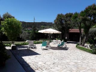 Casa da Tia Palmira - Castelo de Paiva - 3