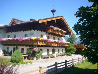 Berghof - Saalfelden am Steinernen Meer - 4