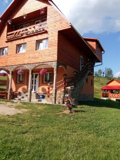 Cabana Ghetari - Gheţari - 9