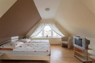 Haus im Naturpark am Steinhuder Meer - Steinhude - 8