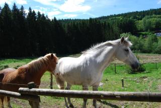 Chambre d'hôtes Kieffer Le Grand Bienfaisy - 6