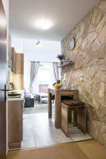 Apartment Jelena1 - Tatranská Lomnica - 9
