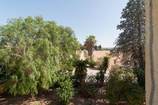 Casina Grassi - Cutrofiano - 1
