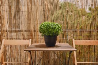 Modern and Cozy Apartment in the centre of Athens - Atene - 4