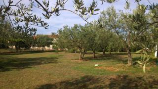 Apartment Free Parking Big Garden - Peroj - 2